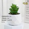 Plantas en Maceta de Suculentas de Diamante Simuladas al por Mayor, Decoración del Hogar, Plantas Suculentas para Oficina, Adornos de Plantas Verdes, En Stock, Entrega Inmediata
