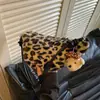 Bolso de felpa transfronterizo para mujer invierno 2026 estampado de leopardo estilo nuevo moderno versátil de un solo hombro axila bandolera bolso de viajero bolsa de albóndiga