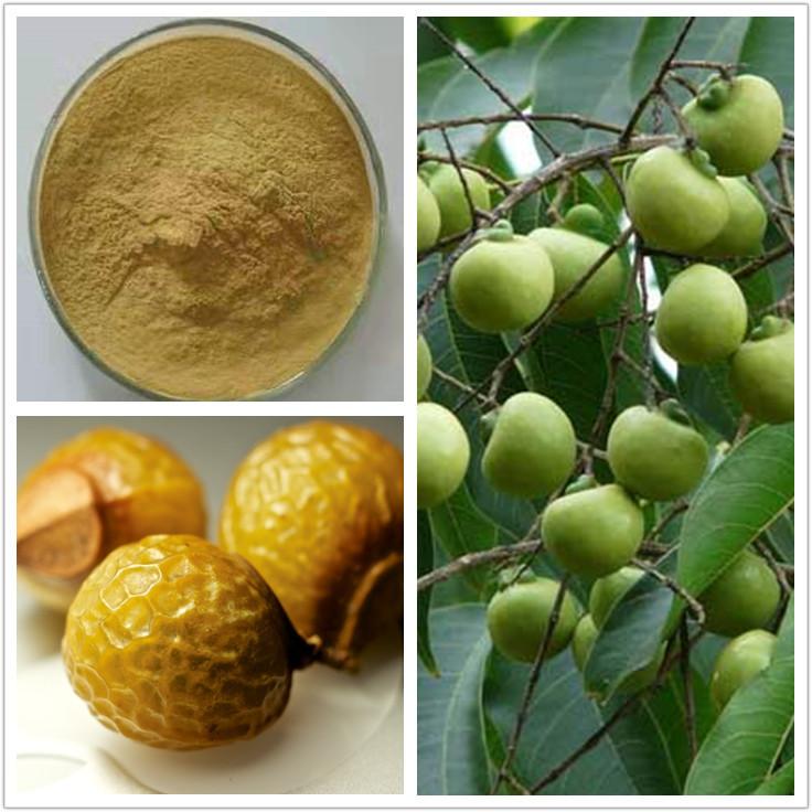 无患子皂甙40%_副本