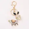 Pedra Olho de Gato Grande Jumentinho Cristal Chaveiro Pequeno Pingente Strass Metal Jumentinho Corrente de Chaveiro para Mochila Venda por Atacado