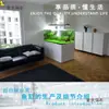 Aquário de Vidro Ultra-Branco Espesso Retangular Pequeno e Grande Paisagismo de Sala de Estar Aquário Plantas Aquáticas Tanque de Tartaruga Mai Taibao