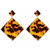 Pendientes geométricos calientes de moda simple europea y americana Amazon explosión acrílico placa de ácido acético pendientes de leopardo C