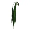 Flores eternas verdes, atmósfera de primavera, decoración del hogar, ramos para tiendas, decoración de ropa de mujer, materiales de flores secas, arreglos florales de recepción, ramas para escenas