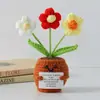 Flor de Tricô de Energia Positiva Transfronteiriça Planta em Vaso Produto Acabado Fio de Lã Flor de Simulação Ornamento de Mesa Boneca de Cartão de Mão