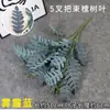 Manojo Simulado de 5 Puntas de Hojas de Locusta para Decoración de Boda en Jardín al Aire Libre, Exhibición Interior, Paisajismo de Balcón, Hojas Falsas y Arte Floral