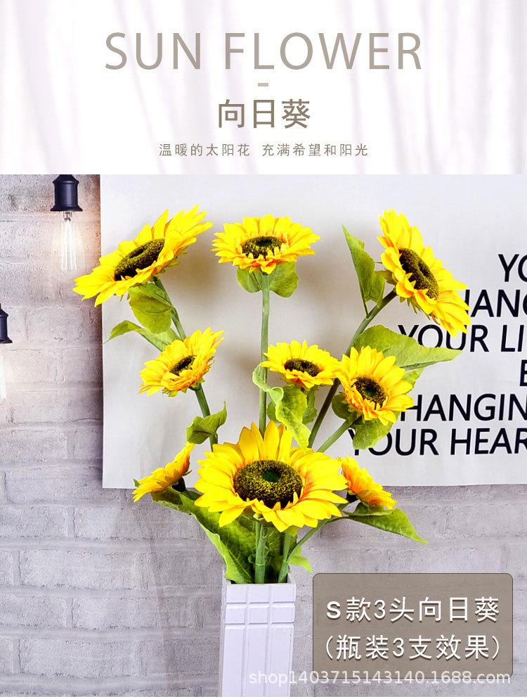 详情页_01.jpg