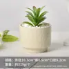 Vaso de Flores Cerâmico para Suculentas Moderno Estilo Ins Minimalista Nórdico, Simples para Interior Criativo Redondo Doméstico para Plantas Verdes Vaso de Flores de Luxo