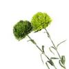 Arreglo Floral de Boda Flores Artificiales Flor de Bambú Piedra Verde de Alta Calidad Personalizado Bolas de Pelo Verde Decorativas de Bosque Flor Artificial Venta al Por Mayor