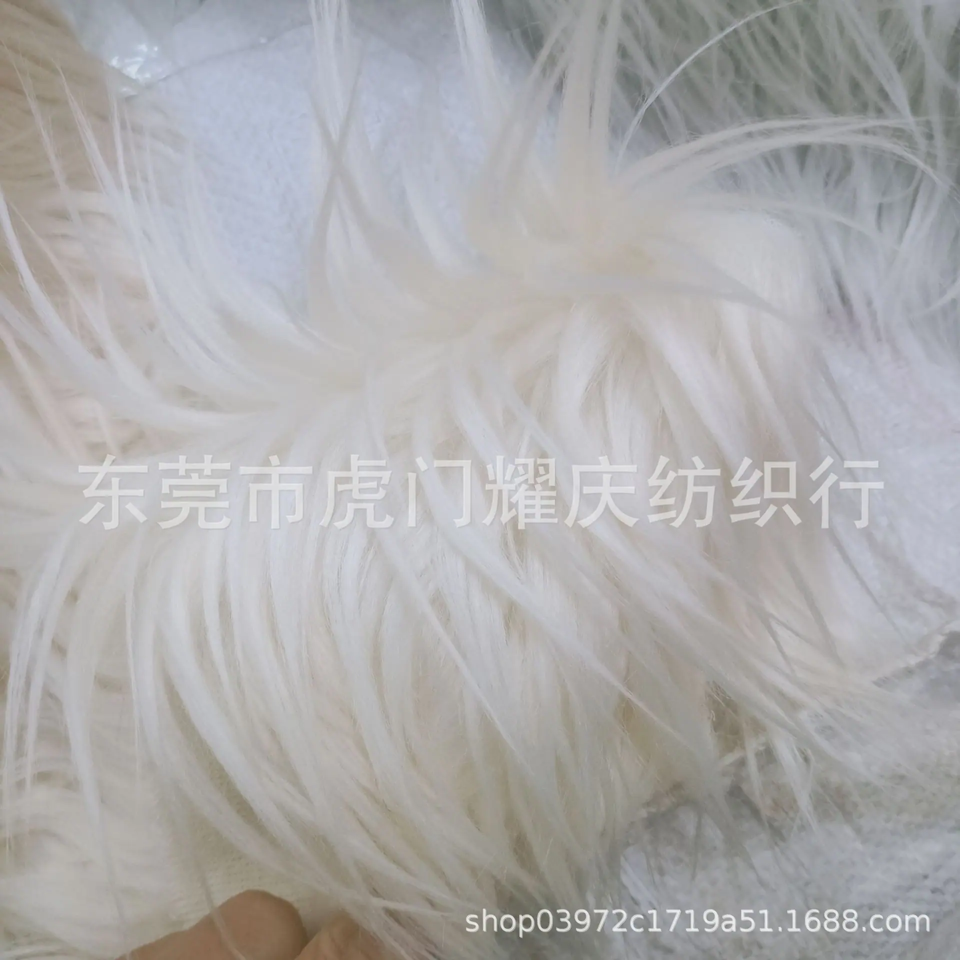 滚束毛