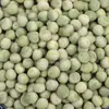 Ervilhas Verdes Frescas 5 Jin Ervilhas Verdes Ervilhas Cruas Ervilhas Verdes Novidades do Agricultor Ervilhas Secas Grãos Mistos 450g