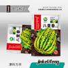 Fabricante Fonte Atacado Sementes de Hortaliças para Primavera, Verão e Outono, Melões e Frutas, Sementes, Sementes de Colza e Hortaliças