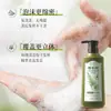 Uau, Shampoo Personalizado Qiwendang Folha de Platycladus Antiqueda Capilar à Base de Plantas Alívio da Coceira Caspa Cabelo Herbal Cuidado e Nutrição