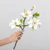 Combinación de Flores Artificiales Blancas Magnolia Phalaenopsis Rosa Diente de León Decoración Escénica de Boda Material de Flor Artificial Fabricante