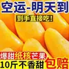 Hainan Jin Huang Mango Fresco Narciso Mango Paquete de Gato Caja Entera Piel Fina Fruta de Temporada para Mujeres Embarazadas Frutero Entrega Directa Envío Gratis