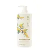 Champú Anticaspa Genuino con Ácido Salicílico Disulfuro, Control de Grasa, Fragancia, Voluminoso, Antipurito, Refrescante, Mejora los Folículos Capilares, Mayoreo