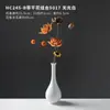 Ramos de flores secas, adornos decorativos de flores reales, flores de loto secas, capullos de loto, raíces de loto naturales, arreglos florales inspirados en Zen, decoraciones para sala de estar chinas.