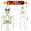 Esqueleto Humano Realista Transfronterizo de Halloween 40 cm Esqueleto Móvil para Montaje de Escena y Decoración