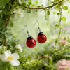 Brincos de Acrílico Dupla Face com Rosa, Moda Transfronteiriça, Adequados para Dia dos Namorados/Dia das Mães, Brincos Pendentes Femininos