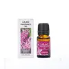 Aceite Esencial de Lavanda Transfronterizo Aceite Esencial de Aromaterapia Aceite Esencial Soluble en Agua para Coche Humidificador Aromaterapia 10ml