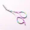 Tijeras de Acero Inoxidable para Recortar Cejas de Venta Caliente Transfronterizas, Tijeras de Belleza Antideslizantes, Recortador de Cejas Antiarañazos, Peine y Tijeras de Doble Propósito, Tijeras Pequeñas de Belleza