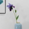 Flor Artificial Flor de Íris Alice de Duas Cabeças Decoração de Sala de Estar Quarto Loja de Floricultura Arranjo de Paisagem Flor Artificial Flor de Seda