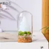 Adorno de árbol de Navidad de cristal natural transfronterizo, espécimen de cristal blanco en una botella de vidrio, decoración de escritorio navideña, regalo navideño