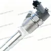 El inyector de combustible 0445110934 fabricante PV10001529 es adecuado para la camioneta Foton Tuano, en stock