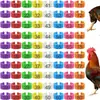 Anillo de Pie de Pollo de Plástico Personalizado de 16 mm Anillo de Identificación de Aves de Corral Anillo Marcador de Pata de Pollo Se Puede Hacer con Números Anillo de Pie para Pollo Pato Ganso
