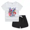 Conjunto de Camiseta e Shorts de Gola Redonda de Verão 2026 para Crianças Estilo Coreano Casual Absorvente de Suor Cor Doce Conjunto de Moletom para Crianças Pequenas