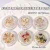 Xiaohongshu Decoração de Nail Art Borboleta com Gradiente de Cor Pacote Misto de Materiais para Unhas com Contas de Aço Pérola e Contas Sinfonia Borboleta