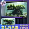 2025 Nueva Decoración de Fondo para Acuario Fondo de Acuario Película Electrostática 5D Dream Size Papel Tapiz Brontosaurio