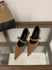 Zapatos Mary Jane de punta estilo francés con un ligero tacón, zapatos de mujer, nueva colección otoño 2026