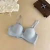 Sujetador de Reúne Busto Pequeño Cómodo Sencillo para Mujer, Hace que el Busto Pequeño se Vea Más Grande, Sin Aros, Soporte Suave, Levanta, Sin Costuras, Sujetador Engrosado