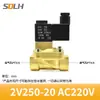 Válvula de solenoide neumática de 2 vías y 2 posiciones 2V025-08 válvula de control AC220V DC12V DC24V válvula normalmente cerrada