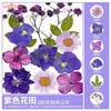 Paquete de Materiales DIY de Flores Secas Flores Prensadas Hechas a Mano Flores Conservadas Marcadores de Libros de Flores Prensadas Hojas de Árbol Real Plantas Pegatinas de Resina Maquillaje Facial
