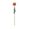 Cojín de alfileres de simulación Flor Decoración moderna para el hogar Flor Dominante Flor Emperador Cojín de alfileres de plástico Flor Artificial Planta verde Accesorios de fotografía
