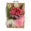 Bolsa de Materiales DIY Flor Seca Inmortal Tuanjian Marco de Fotos Pintura Tarjeta de Felicitación Tuanfan Ramo Pequeño Hecho a Mano Flor Real Bolsa de Flores en Relieve