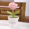 Buquê de Flores Artificiais Cravo Girassol Tricotado à Mão Acabado Transfronteiriço Ornamentos de Plantas em Vasos para Desktop Decoração de Sala de Estar Atacado