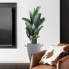 Ms8454 Planta Verde Simples Envasada Sala de Estar Quarto Parede de Fundo Adesivos de Parede Decorativos Adesivos de Parede Criativos