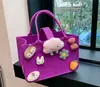 Bolso de Fieltro de Celebridad de Internet, Bolsa de Regalo de Alta Gama, Bolso Tote Pequeño de Fieltro de Dibujos Animados, Bolso de Mano Souvenir de Luna Llena