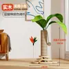 Estrutura de Escalada para Gatos com Placa de Arranhar de Madeira Maciça, Vara de Brincar para Gatos Resistente e Durável, Não Solta Detritos Facilmente, Brinquedo para Gatos, Suprimentos para Animais de Estimação, Item Quente Transfronteiriço