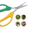 Tijeras para Recoger Uvas, Tijeras de Jardinería, Tijeras Domésticas Curvas para Podar Frutas, Tijeras de Acero Inoxidable para Podar Frutas, Pequeñas de Jardinería