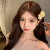 A Temporada das Flores Está Chegando 2026 Primavera Novo Original Atmosférico Floral Grampo de Cabelo Lateral Clipe Feminino Praia Flor de Cabelo Acessório