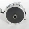 Motor de Montacargas Eléctrico, Motor de Tracción para Vehículo de Transporte, Vehículo Hidráulico de Carga y Descarga Motor de Tracción sin Escobillas de 48 Voltios