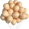 Balões de Aniversário, Balões Foscos de Alta Qualidade, Conjunto de 20 Peças, Decoração de Balão para Festa Transfronteiriça, Balões Populares