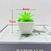 Plantas Envasadas Simuladas, Bonsai de Suculentas Simulado, Plantas Envasadas de Flores Falsas de Aloe Vera Simulada, Ornamentos de Flores Artificiais, Plantas Verdes Simuladas, Transfronteiriço