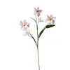 5 Flores de Magnolia Artificiales para Arreglo Floral en Salón de Banquetes de Boda, Decoración para Fotografía al Aire Libre, Venta al por Mayor de Flores Artificiales Transfronteriza, Ecológico
