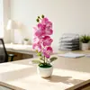 Bacia nova onda transfronteiriça 7 orquídeas Phalaenopsis vaso de flores simulação paisagem fotografia de casamento decoração de fotos flores artificiais pequenas plantas em vaso