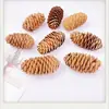 Pendientes de Planta Fruta Bellota Hechos a Mano DIY Fruta Pendientes Personalizados Creativos Material Chica Linda Pendientes Retro