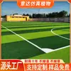 Amazon Explosões Campo de Futebol Gramado Artificial Grama Sintética Cor Campo de Futebol Externo Gramado de Simulação Verde